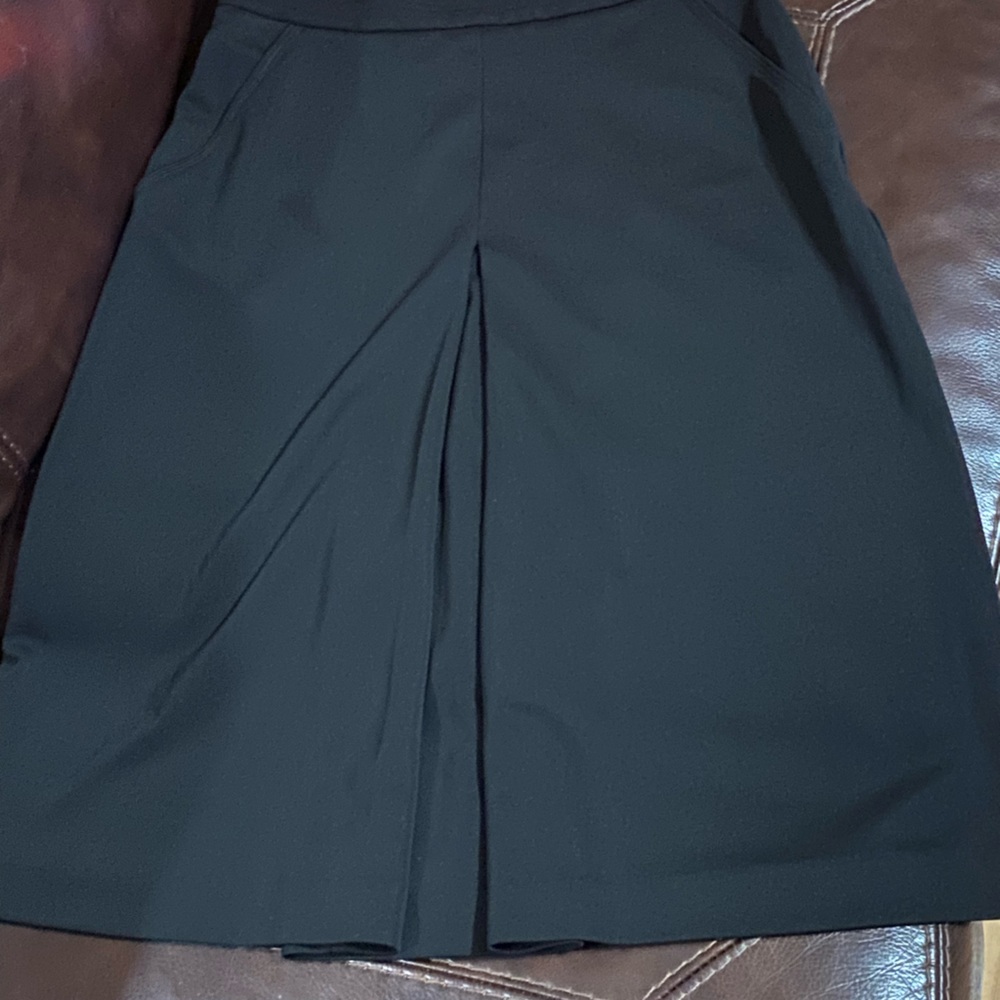 Ann Taylor Skirt